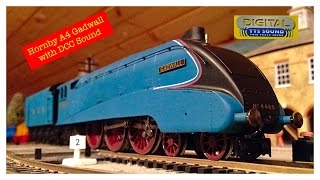 The Most Affordable DCC Sound Around  REVIEW Hornby A4 with TTS Sound [upl. by Dammahum]