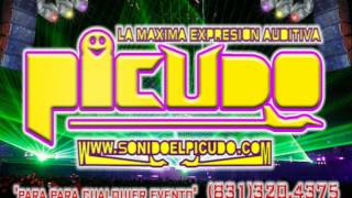 cumbias clasicas del recuerdo mix dj el picudomp3 [upl. by Pippas]