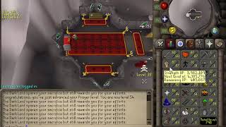 Getting Preserve on a Pure OSRS [upl. by Noiramaj]