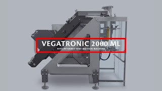 The brand new IMA Ilapak Vegatronic 2000 ML intermittent motion VFFS bagging machine [upl. by Philbo]