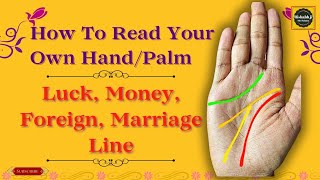 How To Read Your Own HandPalm  Learn Palmistry  luckmoney foreign Marriage Linehastrekha [upl. by Ocirred]