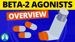 Beta2 Adrenergic Agonists Medications OVERVIEW  Bronchodilators [upl. by Charis]