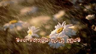 Mage Nethu Piya  Sinhala Christian Song [upl. by Manella]