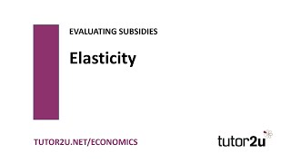 Subsidies  Price Elasticity of Demand  Economics Revision [upl. by Mita391]