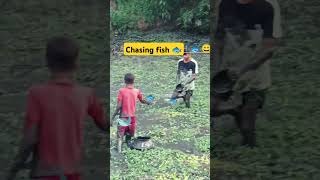 Cashing fish pond 😮😀🐟 edm fish pomdog terding cute vairlvideo remix bassboosted terndinge [upl. by Hollander]