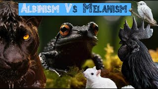 What is Melanism [upl. by Bazar889]