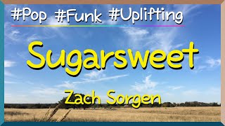 Lyrics Sugarsweet  Zach Sorgen  I’m on the road it’s my timeTaking control of my life [upl. by Ingrid]