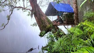 Solo Camping Hujan Deras rumah pohon di tepi Sungai [upl. by Debo]