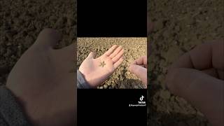 metaldetecting xpdeusmetaldetector motivation xpdeusdetector history [upl. by Kosak]