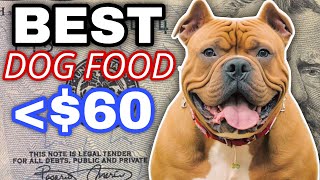 Best Dog Food Brands 2025  American Bully XL [upl. by Fonz]