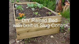 DIY Raised bed garden with builtin slug control [upl. by Ecined]