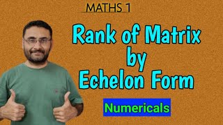 Rank by Echelon Form  Matrix  Maths [upl. by Adnoval]