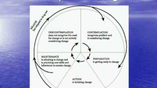 Stages of Behavior Change [upl. by Josh535]