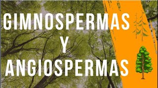 Plantas Angiospermas y Gimnospermas [upl. by Niple]