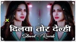 दिलवा तोर देल्ही  Slowed  Reverb Maithili Sad Lofi Song  Dilwa Tor Delhi lofi song  lofimusic [upl. by Jo]