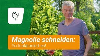 Magnolien schneiden Mit diesen Tipps klappts [upl. by Rafi]