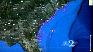 Website tracks sharks near Fla coast [upl. by Eikcid]