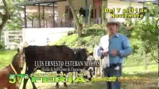 Vídeo Invitación Oficial 57º Ferias y Fiestas de San Vicente de Chucurí 2013 [upl. by Sivet]