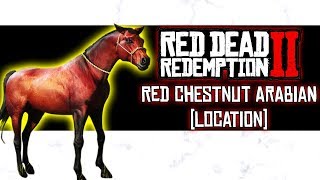 Red Chestnut Arabian Wild Horse Location  Red Dead Redemption 2 [upl. by Joice]