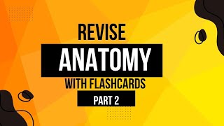 Anatomy FlashcardsUpper limb neetpgrevision inicetflashcards [upl. by Britt541]