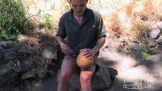 How To Make Gourd Water Bottle [upl. by Olmsted]