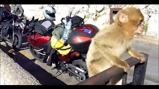 Motocyklowy rajd na Gibraltar cz3 Kadyks i Gibraltar  Motocyklowa TV [upl. by Romain]