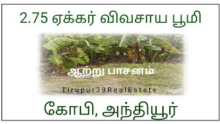 275 acre agri Land for sale in Anthiyur Gobi agrilandforsale erode realestate [upl. by Avictor]