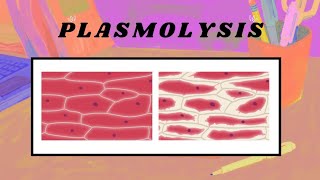 Plasmolysis and Pressure Potential [upl. by Filide]