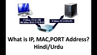 Difference Between  IP Address  Mac Address  Port Address  hindiurdu [upl. by Gearhart]