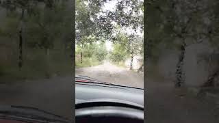 Beevi 😀 youtubeshorts drive rain [upl. by Shaw302]