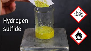 Making Hydrogen Sulfide From Common Household Materials  LabCoatz Shorts [upl. by Doelling881]