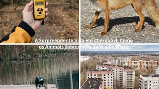 A Surpreendente Vida em Chernobyl Como os Animais Sobrevivem após o Desastre [upl. by Appel]