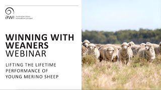 Winning With Weaners Webinar [upl. by Angi]