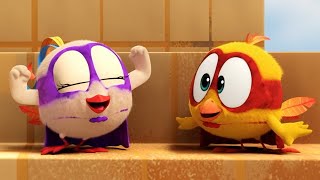 Wheres Chicky Funny Chicky 2023  SUPERHEROES  Cartoon in English for Kids  New episodes [upl. by Cohe]