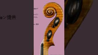 The 1726 Greville Adams Kreisler Stradivarius [upl. by Ddene]