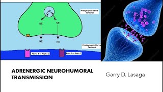 VET PHARMA 1  Adrenergic Neurohumoral Transmission  20222023 [upl. by Koorb]