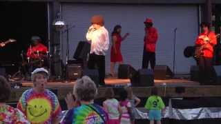 Groove Train performing their cover of Boogie Shoes in Danville Va 612013 [upl. by Erait]