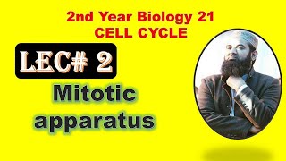 Mitotic apparatus Lecture no 2 chapter NO 21 2nd year Biology [upl. by Scholem]