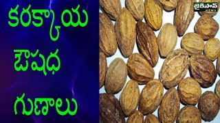 కరక్కాయ ఔషధ గుణాల పై ప్రత్యేక చర్చ EP18P1  KARAKAYA  DrKandhamuri  JaiKisan News [upl. by Ennylyak820]