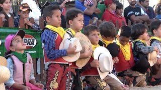 Veja como foi o rodeio em carneiros do Rancho do Peãozinho  Divinaexpo 2017 [upl. by Zebulen54]