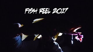 FISH REEL 2017  Fly Fishing Cinema Reel Video [upl. by Joliet]