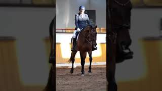 PSG 7yo Hanoverian dressage gelding [upl. by Ttennej]