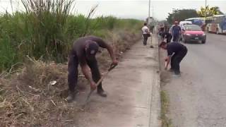 Trabajos de limpieza y retiro de maleza en la carretera Jojutla [upl. by Ithsav]