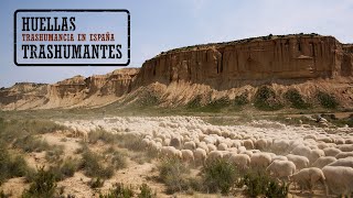 LA CAÑADA DE LOS RONCALESES trashumancia  THE TRAIL OF THE RONCALANS [upl. by Durward28]