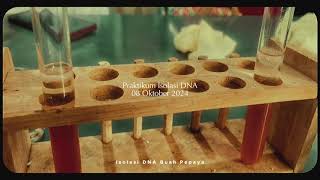 Isolasi DNA Praktikum Biologi by Kelompok 1 Peminatan A [upl. by Einnhoj44]