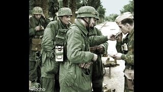 German Paratrooper Prison Break 1944 [upl. by Notirb]