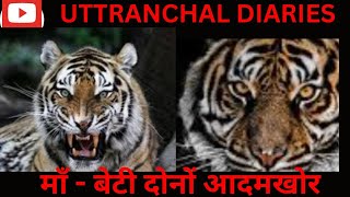 Chowgarh Tigers  Jim Corbett  Jim Corbett Stories [upl. by Chill]