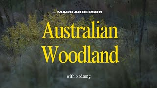 Australian Woodland Ambience  Recording by Marc Anderson [upl. by Aldas]