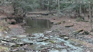 Peaceful Forest Creek  Forestville New York USA [upl. by Docia]