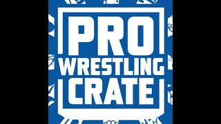 Pro Wrestling Crate Masks and Paint 2024 Chase Hit [upl. by Enaasiali]